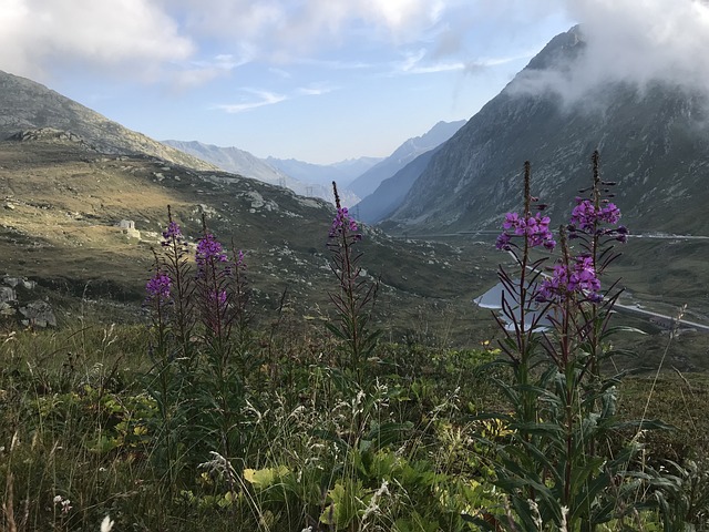 帕德鲁 阿尔卑斯山的路线 阿尔卑斯山 - 上的免费照片