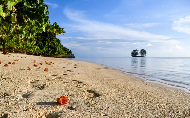 塞舌尔 海滩 海滨 - 上的免费照片