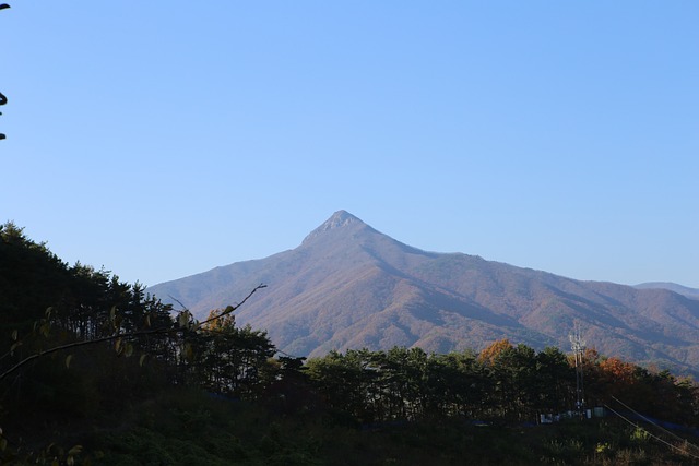 光阳 秋季旅游 感的农场 - 上的免费照片