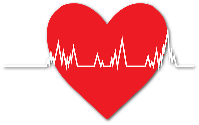 心 心脏病发作 心脏健康 - 上的免费图片