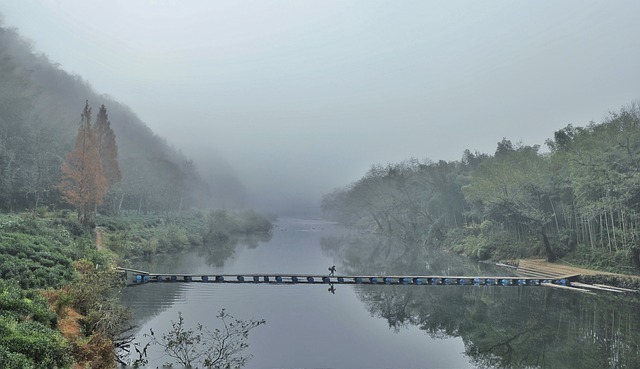 清晨 薄雾 清晨薄雾 - 上的免费照片