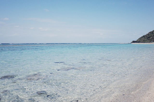 海 济州 海洋 - 上的免费照片
