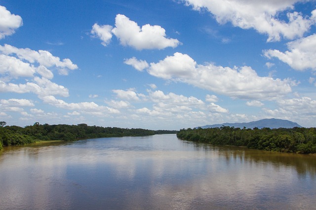 Rio Branco 罗赖马州 Viruá - 上的免费照片