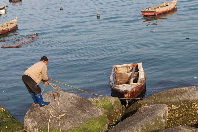 大海 渔船 渔民 - 上的免费照片