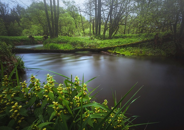 自然 景观 水 - 上的免费照片