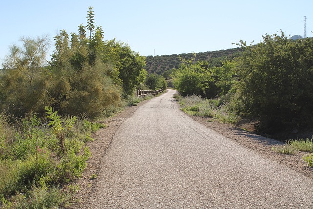 通过佛得角Del Aceite Martos 徒步旅行 - 上的免费照片