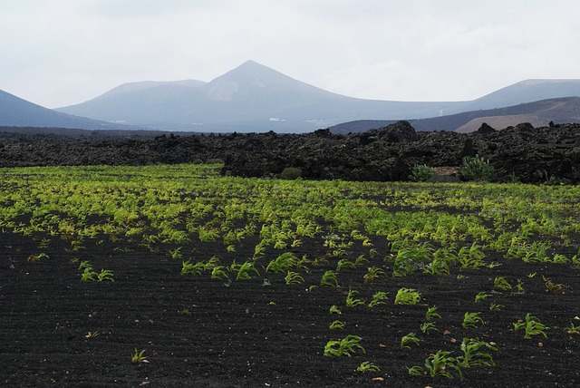 蒂曼法亚 熔岩 火山 - 上的免费照片