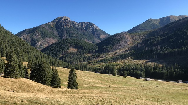 冬奥会 山 景观 - 上的免费照片