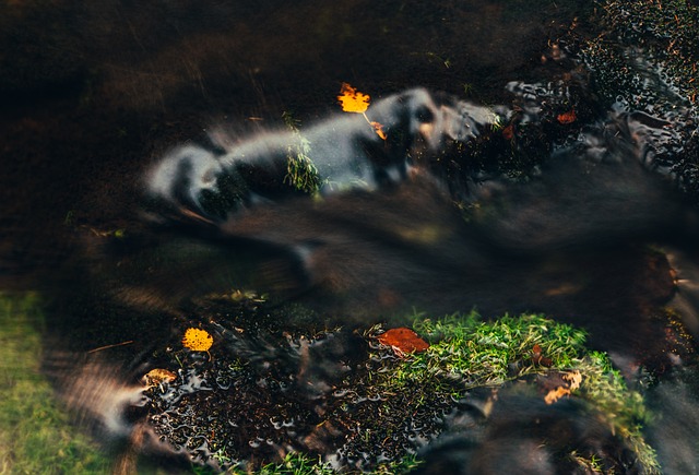 秋天 水 溪 - 上的免费照片