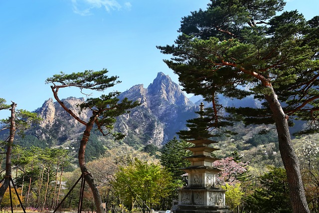 雪岳山 兴兴寺 石塔 - 上的免费照片