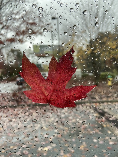 下雨天 雨 下雨 - 上的免费照片