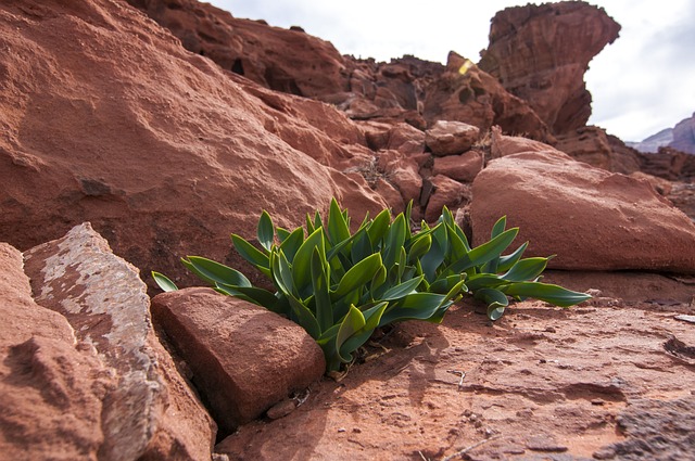 Wadirum 沙漠 约旦 - 上的免费照片