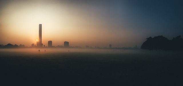 早晨 多雾路段 自然 - 上的免费照片