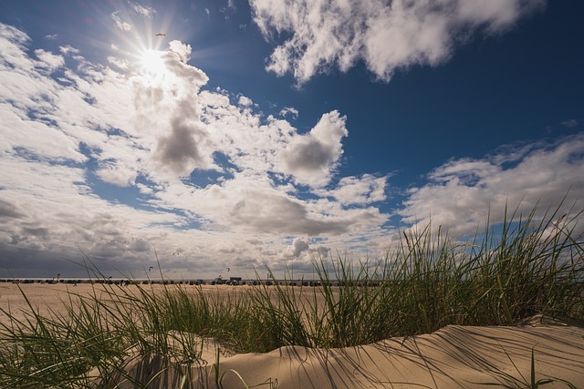 Norddeich 海滩 海 - 上的免费照片