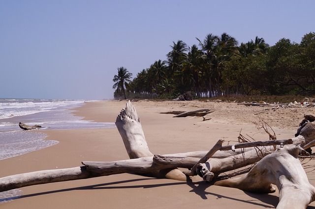 Machurucuto海滩 委内瑞拉 米兰达 - 上的免费照片