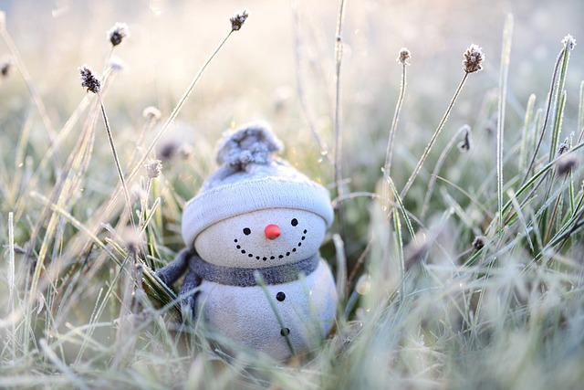 雪人 冬天 草 - 上的免费照片