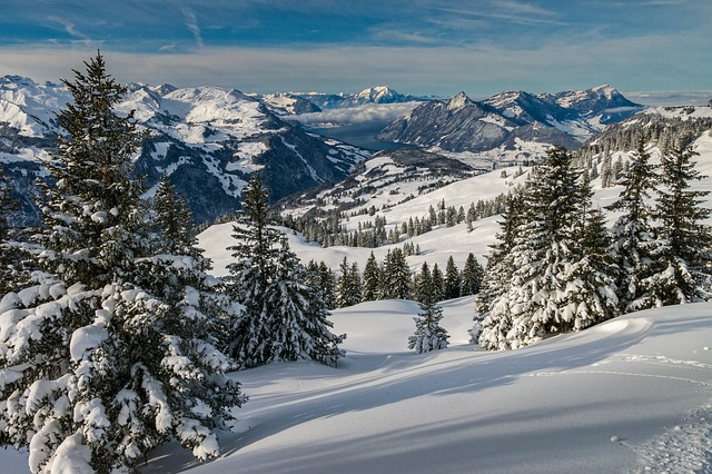 Hochybrig Schwyz 瑞士 - 上的免费照片