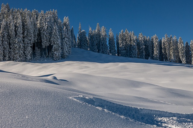 冬天 景观 雪 - 上的免费照片