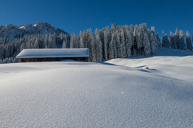 冬天 景观 阿尔菲特 - 上的免费照片