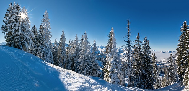 冬天 全景 景观 - 上的免费照片