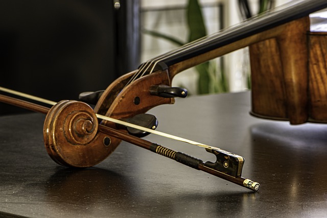 大提琴 弓 仪器 - 上的免费照片