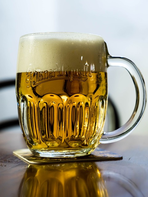 啤酒 酒精 捷克共和国 - 上的免费照片