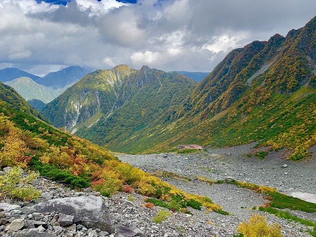 山 秋季树叶 穂高岳 - 上的免费照片