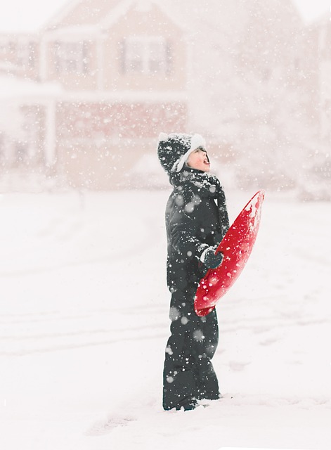 雪 雪橇 冬天 - 上的免费照片