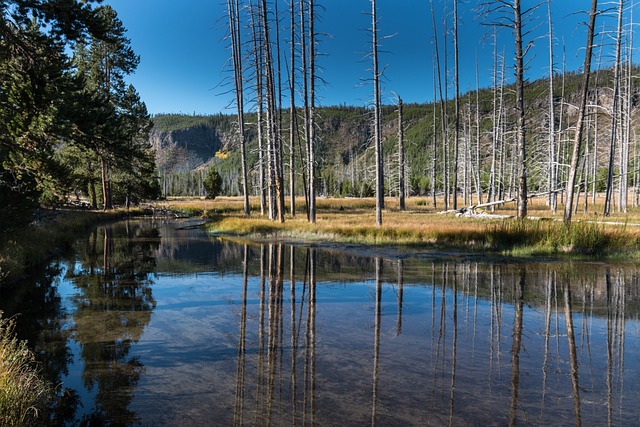 黄石公园 怀俄明州 火洞河 - 上的免费照片