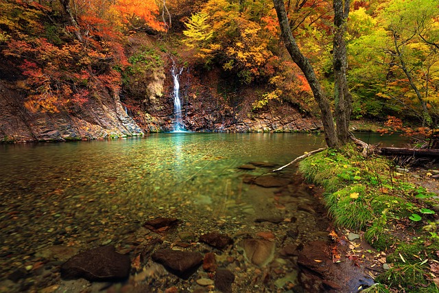 景观 山间溪流 温泉水 - 上的免费照片