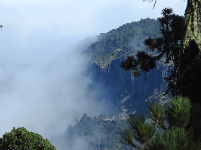 森林 山 寒冷的 - 上的免费照片