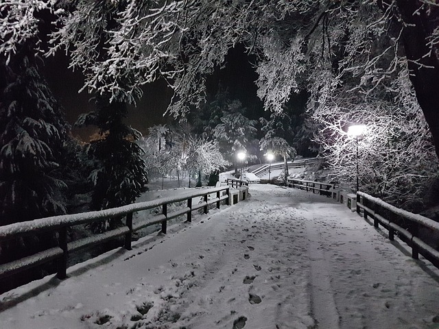 Sierra De Cazorla 雪 冬季 - 上的免费照片