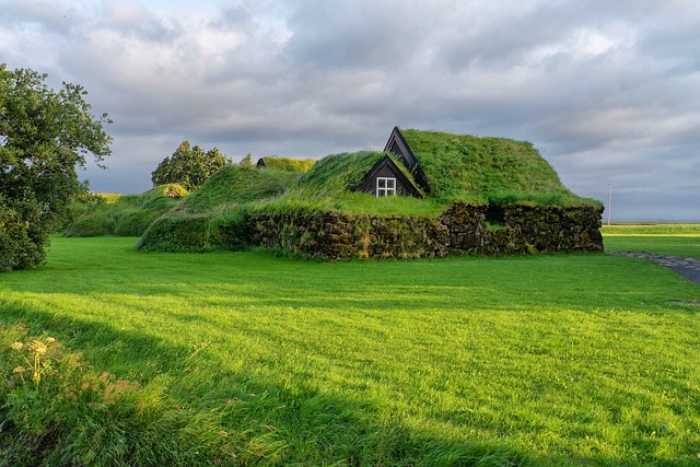 房子 绿色 草 - 上的免费照片