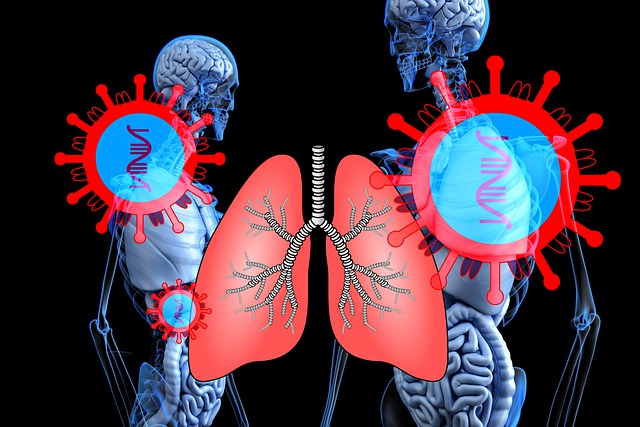 冠状病毒 严重急性呼吸系统综合症冠状病毒2 肺癌 - 上的免费图片