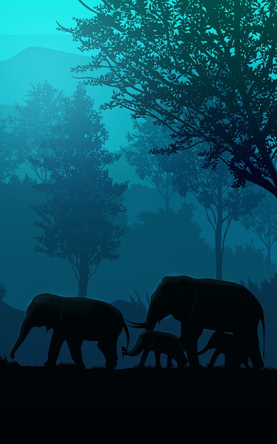 日落 大象 动物 - 上的免费图片