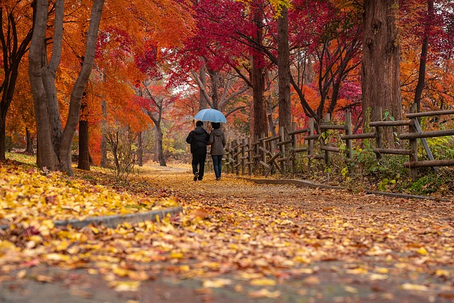 夫妻 公园 秋天 - 上的免费照片