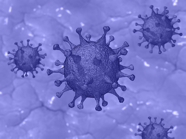 Covid-19 病毒 冠状病毒 - 上的免费图片