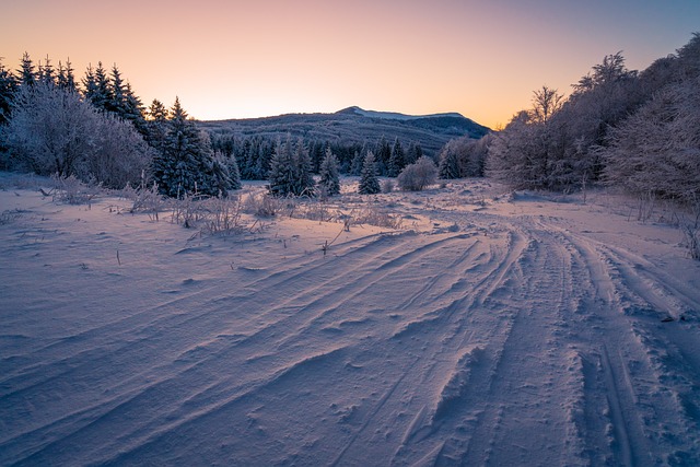 雪 领域 树木 - 上的免费照片