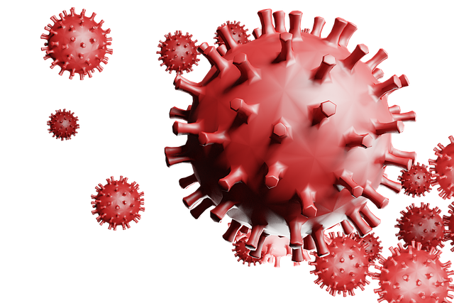 Covid-19 冠状病毒 晕 - 上的免费图片