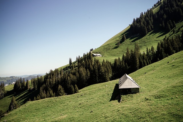 瑞士 Diemtigtal 远足 - 上的免费照片