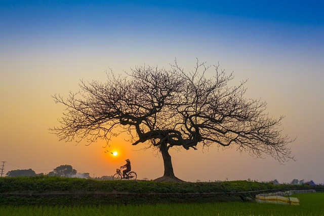日落 下午 自行车 - 上的免费照片