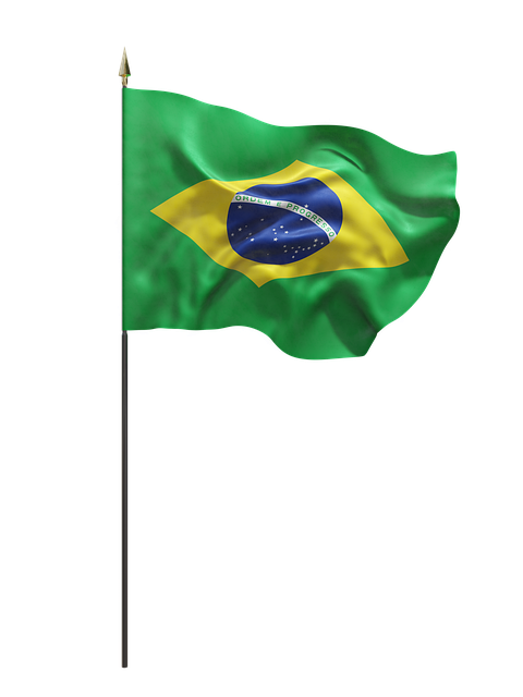 巴西 国旗 巴西人 - 上的免费图片