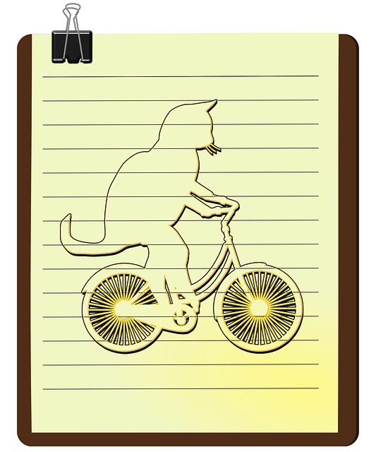猫 小猫 猫自行车 - 上的免费图片