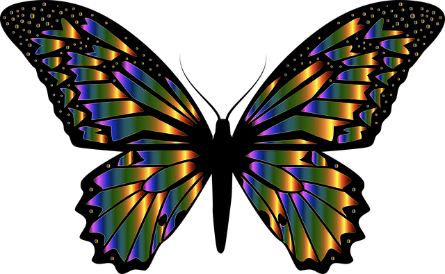 蝴蝶 五颜六色的蝴蝶 昆虫 - 免费矢量图形