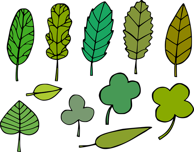 枝叶 树叶 叶图标 - 免费矢量图形