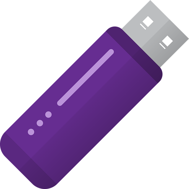 Usb 笔式驱动器 闪存驱动器 - 免费矢量图形