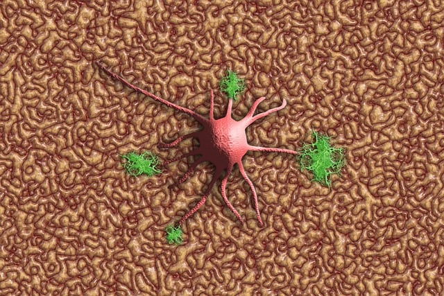 神经细胞 神经元 神经系统 - 上的免费图片