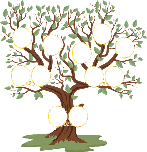 家谱 家谱树 族谱表 - 免费矢量图形