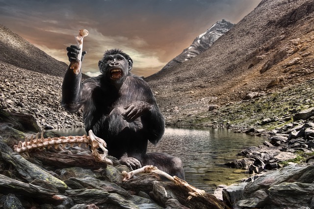 大猩猩 猴 原始人 - 上的免费图片