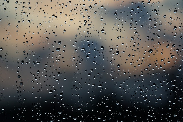 雨 窗户 雨滴 - 上的免费照片